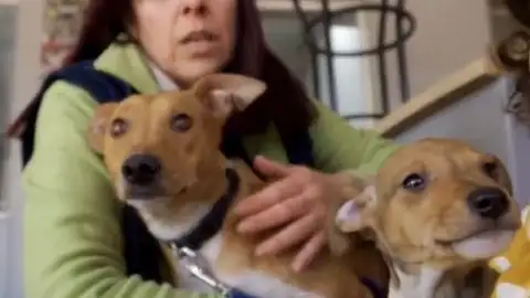 Monda y sus cuatro cachorros buscan nuevo hogar Monda y sus cuatro cachorros buscan nuevo hogar