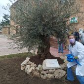 El pueblo de Husillos planta un olivo y descubre una placa conmemorativa en el Día de la Mujer de la Mujer