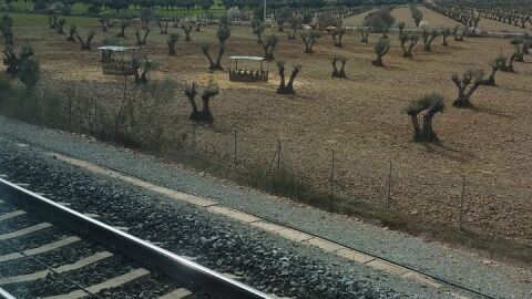 El Avant de esta tarde parado en mitad del campo