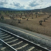 El Avant de esta tarde parado en mitad del campo El Avant de esta tarde parado en mitad del campo