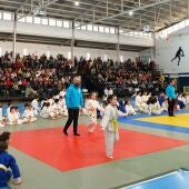 sete medallas Marbel no Campionato Galego de Jiu Jitsu