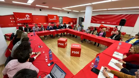 Comisión Ejecutiva Municipal del PSOE de Elche. Comisión Ejecutiva Municipal del PSOE de Elche.
