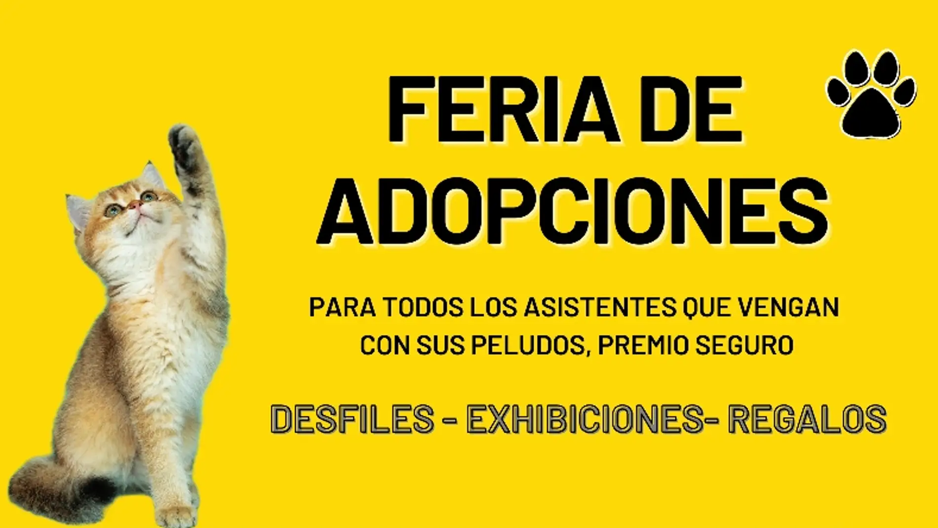 Protección animal de Albatera celebra su primera "Feria de Adopciones" de canes y felinos 