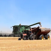 El Estatuto de las Mujeres Rurales busca la igualdad de oportunidades en el sector agrario El Estatuto de las Mujeres Rurales busca la igualdad de oportunidades en el sector agrario