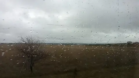 Tren Avant de las 7:42 horas parado en mitad del campo Tren Avant de las 7:42 horas parado en mitad del campo