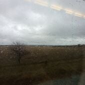 Tren Avant de las 7:42 horas parado en mitad del campo