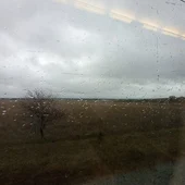 Tren Avant de las 7:42 horas parado en mitad del campo Tren Avant de las 7:42 horas parado en mitad del campo