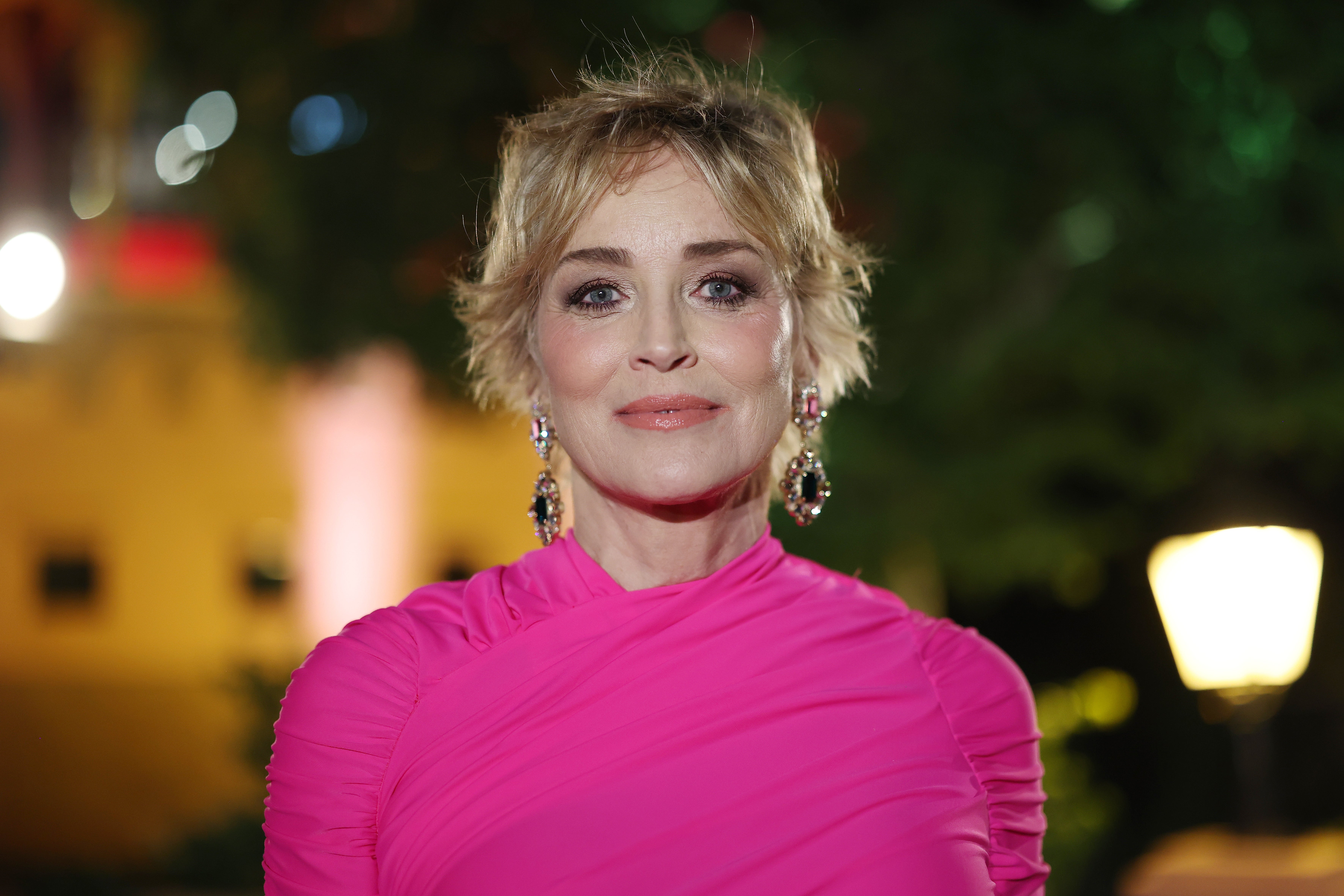 Sharon Stone revela que por sus desnudos y escenas de sexo en la película 'Instinto básico' perdió la custodia de su hijo Sharon Stone revela que por sus desnudos y escenas de sexo en la película 'Instinto básico' perdió la custodia de su hijo