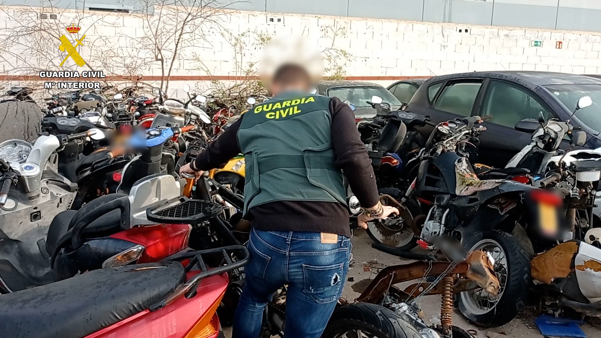 La Guardia Civil desarticula en Torrevieja una banda que robaba vehículos a motor en las provincias de Alicante y Murcia La Guardia Civil desarticula en Torrevieja una banda que robaba vehículos a motor en las provincias de Alicante y Murcia