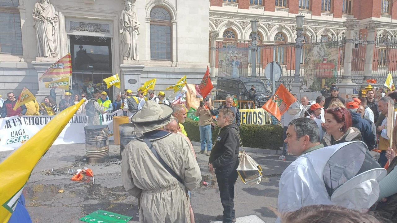 Los apicultores se han concentrado ante el Ministerio de Agricultura