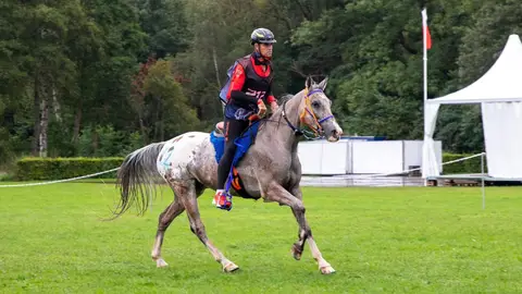 Jaume Punti Jaume Punti