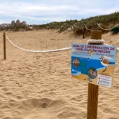 Nuevo balizado para proteger la nidificación del Chorlitejo Patinegro en la playa de La Mata Nuevo balizado para proteger la nidificación del Chorlitejo Patinegro en la playa de La Mata