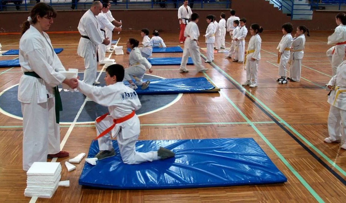 Ribadavia acollerá este sábado a segunda xornada da liga galega de karate Ribadavia acollerá este sábado a segunda xornada da liga galega de karate