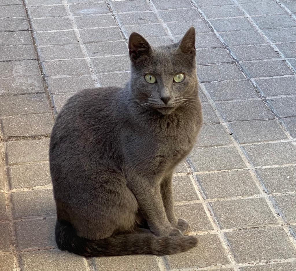 Más de Uno Ceuta 13/3/23 Más de Uno Ceuta 13/3/23