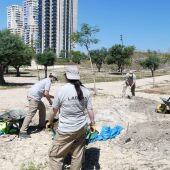 plan empleo explus benidorm