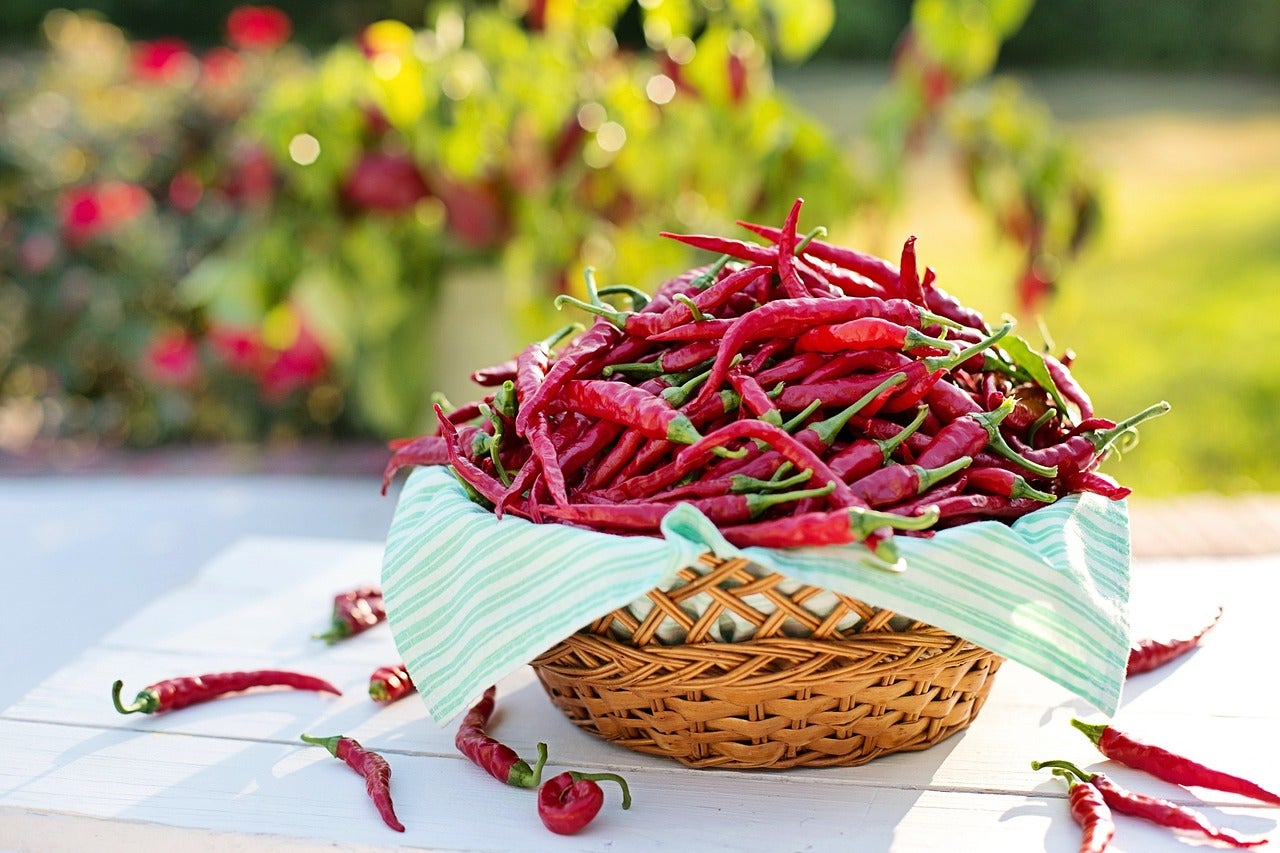 Los efectos adversos de la comida picante: qué personas tienen más riesgos al consumirla Los efectos adversos de la comida picante: qué personas tienen más riesgos al consumirla