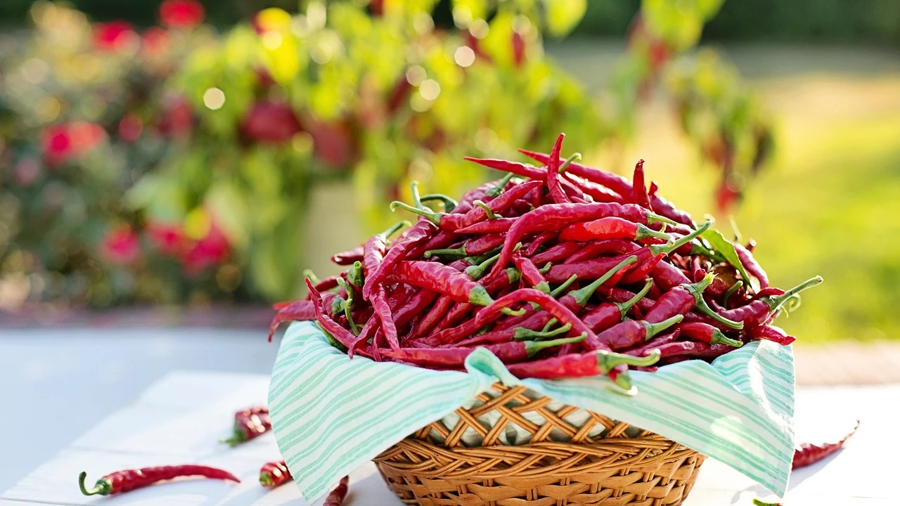 ¿Por qué algunas personas son más sensibles al picante? Este es el motivo, según un endocrinólogo