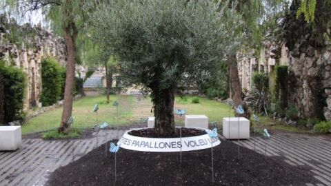 Espai dol gestacional Cementiri de Vilanova