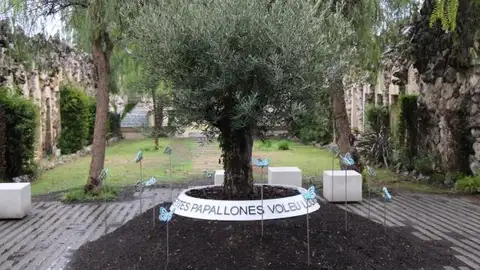 Espai dol gestacional Cementiri de Vilanova Espai dol gestacional Cementiri de Vilanova