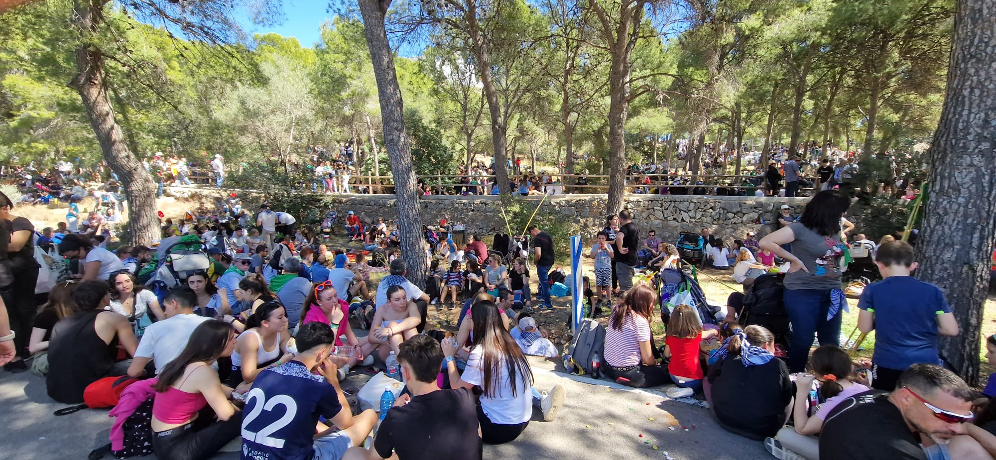La Policía Local interviene en 50 agresiones y peleas en el primer fin se semana de Magdalena La Policía Local interviene en 50 agresiones y peleas en el primer fin se semana de Magdalena
