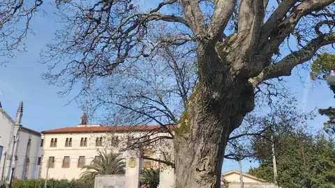 Somió Zona periurbana de Gijón