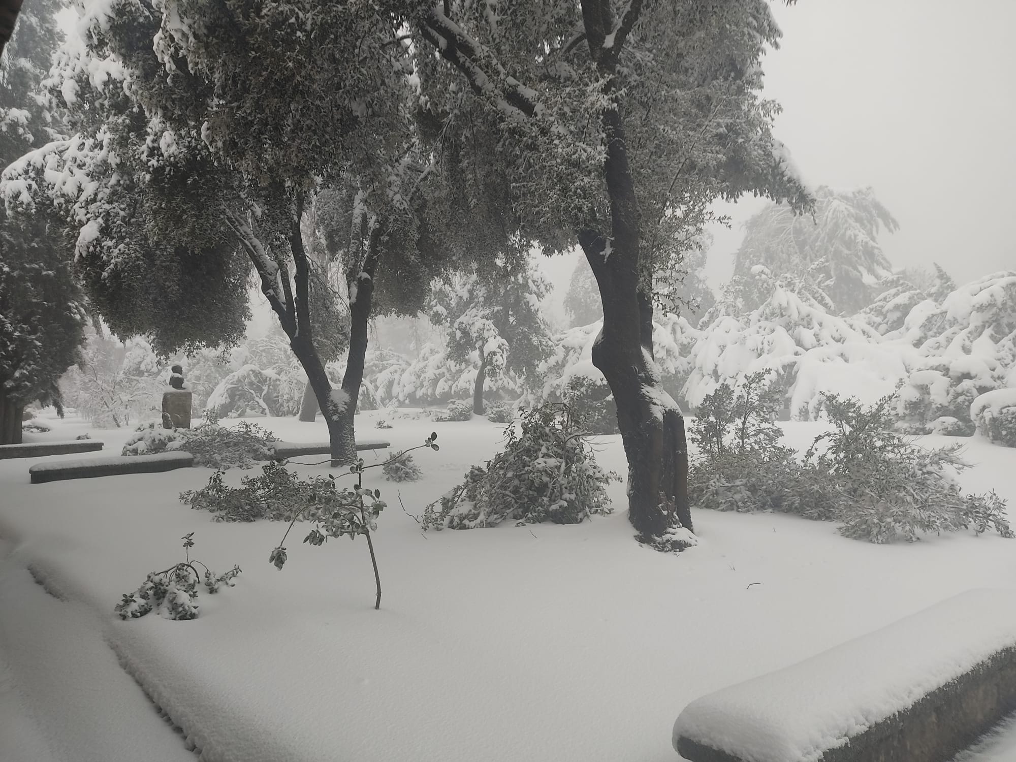 Balance de daños de la borrasca Juliette: en 2.124 hectáreas la afectación alcanza a más de la mitad del arbolado. Balance de daños de la borrasca Juliette: en 2.124 hectáreas la afectación alcanza a más de la mitad del arbolado.