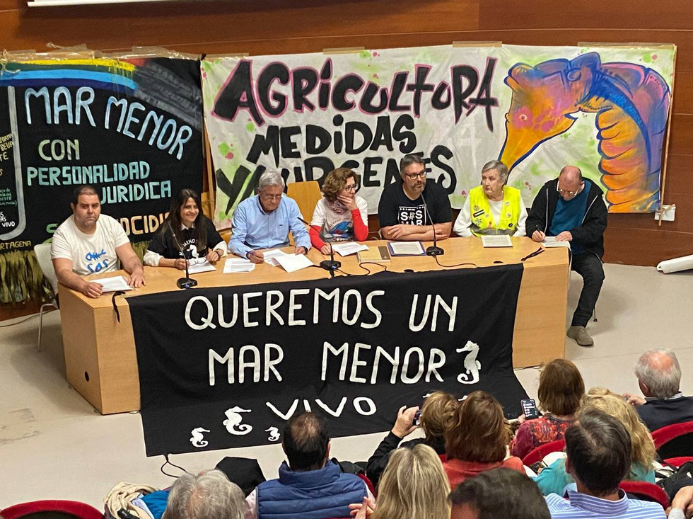 Trasladan a los partidos políticos un decálogo de actuaciones para proteger el Mar Menor Trasladan a los partidos políticos un decálogo de actuaciones para proteger el Mar Menor