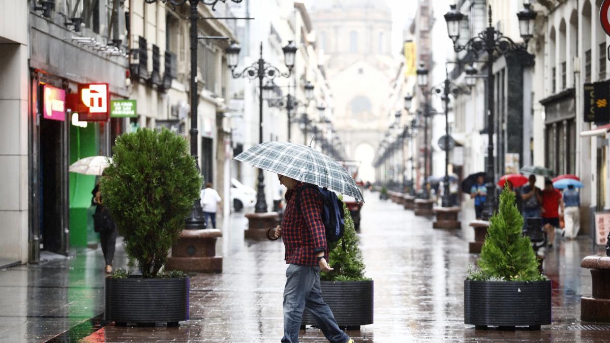 La primavera viene más cálida, pero no más húmeda La primavera viene más cálida, pero no más húmeda