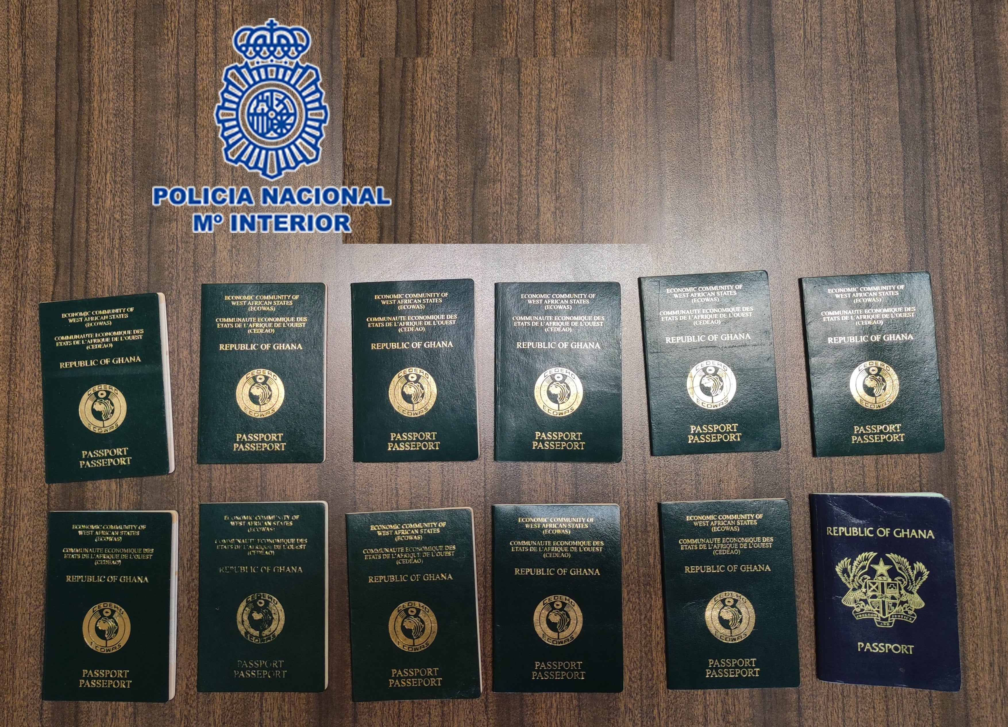 Detienen a 15 miembros de una organización criminal por delitos de falsedad documental y contra los derechos de los trabajadores Detienen a 15 miembros de una organización criminal por delitos de falsedad documental y contra los derechos de los trabajadores