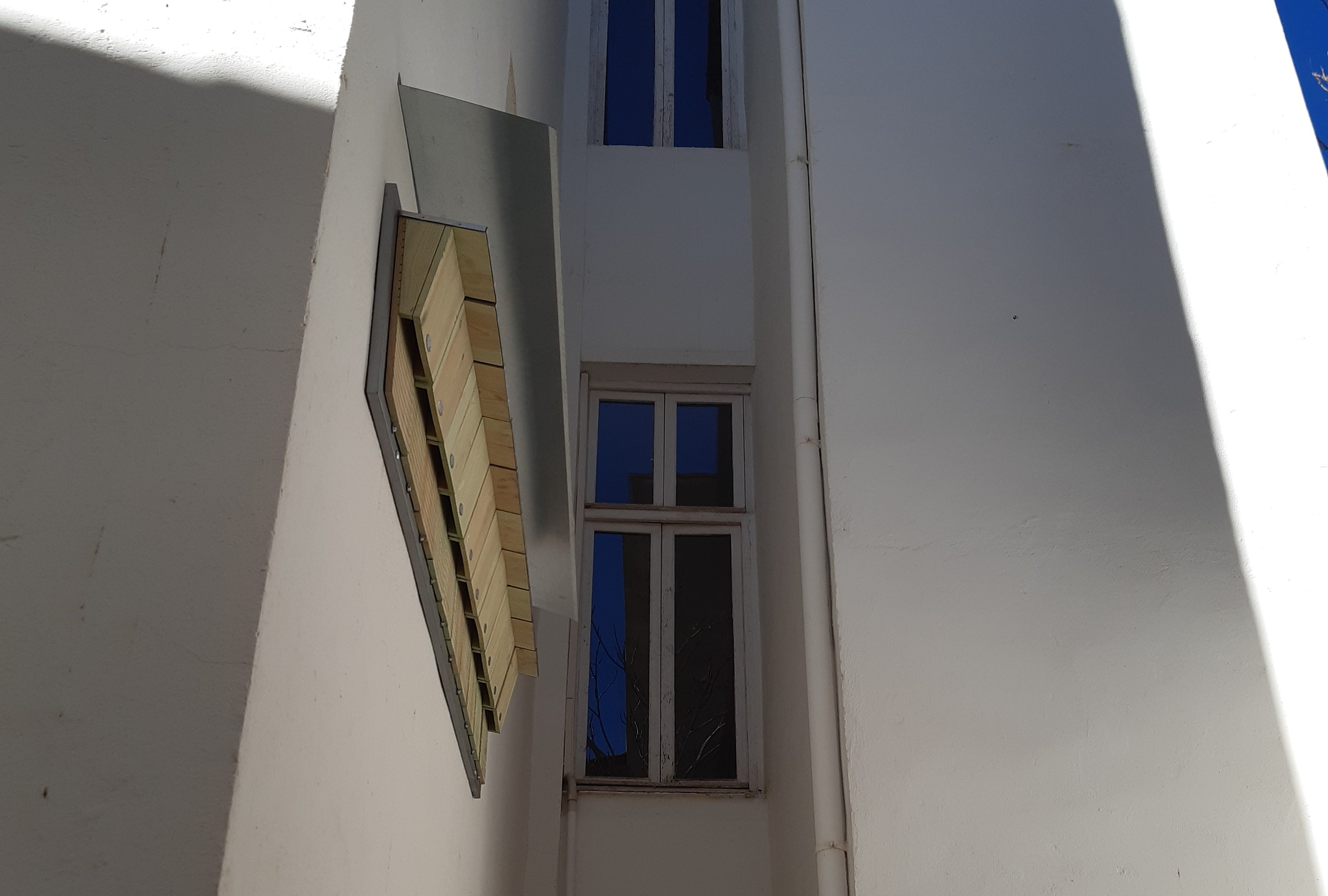 Valdepeñas fomenta la población de murciélagos como "repelente" de insectos Valdepeñas fomenta la población de murciélagos como "repelente" de insectos