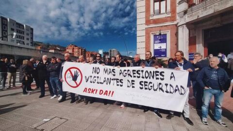 Vigilantes de Seguridad 