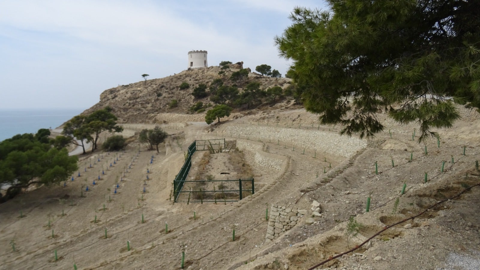 El ayuntamiento de la Vila Joiosa concluye las obras de recuperación forestal de La Malladeta El ayuntamiento de la Vila Joiosa concluye las obras de recuperación forestal de La Malladeta