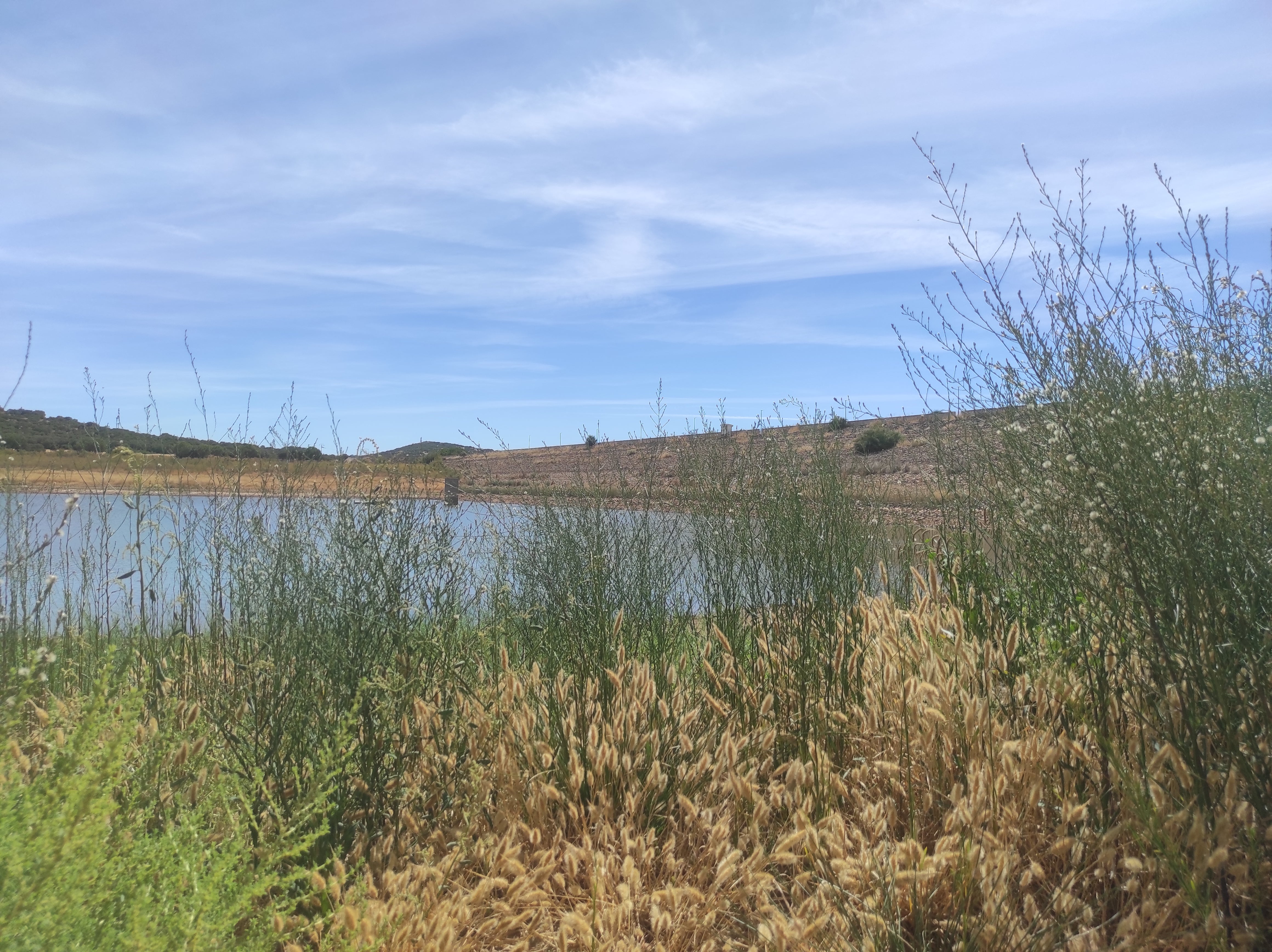 Pocos cambios en la situación de los embalses que abastecen a la comarca Pocos cambios en la situación de los embalses que abastecen a la comarca