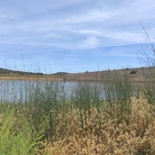 Pantano de La Cabezuela (Valdepeñas) Pantano de La Cabezuela (Valdepeñas)