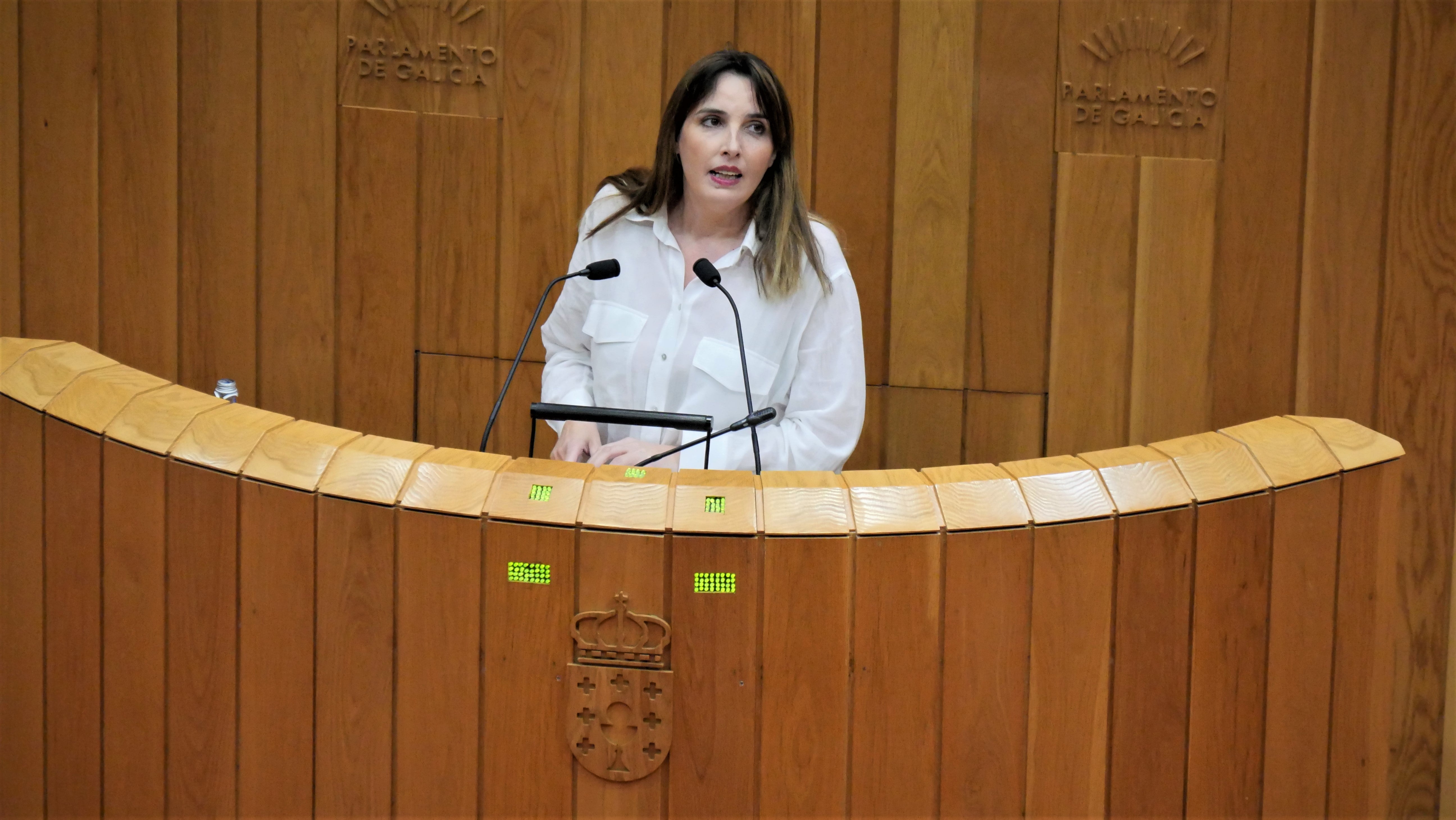 O BNG urxe á Xunta a retirar os cascallos e os restos dos lumes do pasado verán O BNG urxe á Xunta a retirar os cascallos e os restos dos lumes do pasado verán