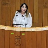 O BNG urxe á Xunta a retirar os cascallos e os restos dos lumes do pasado verán O BNG urxe á Xunta a retirar os cascallos e os restos dos lumes do pasado verán