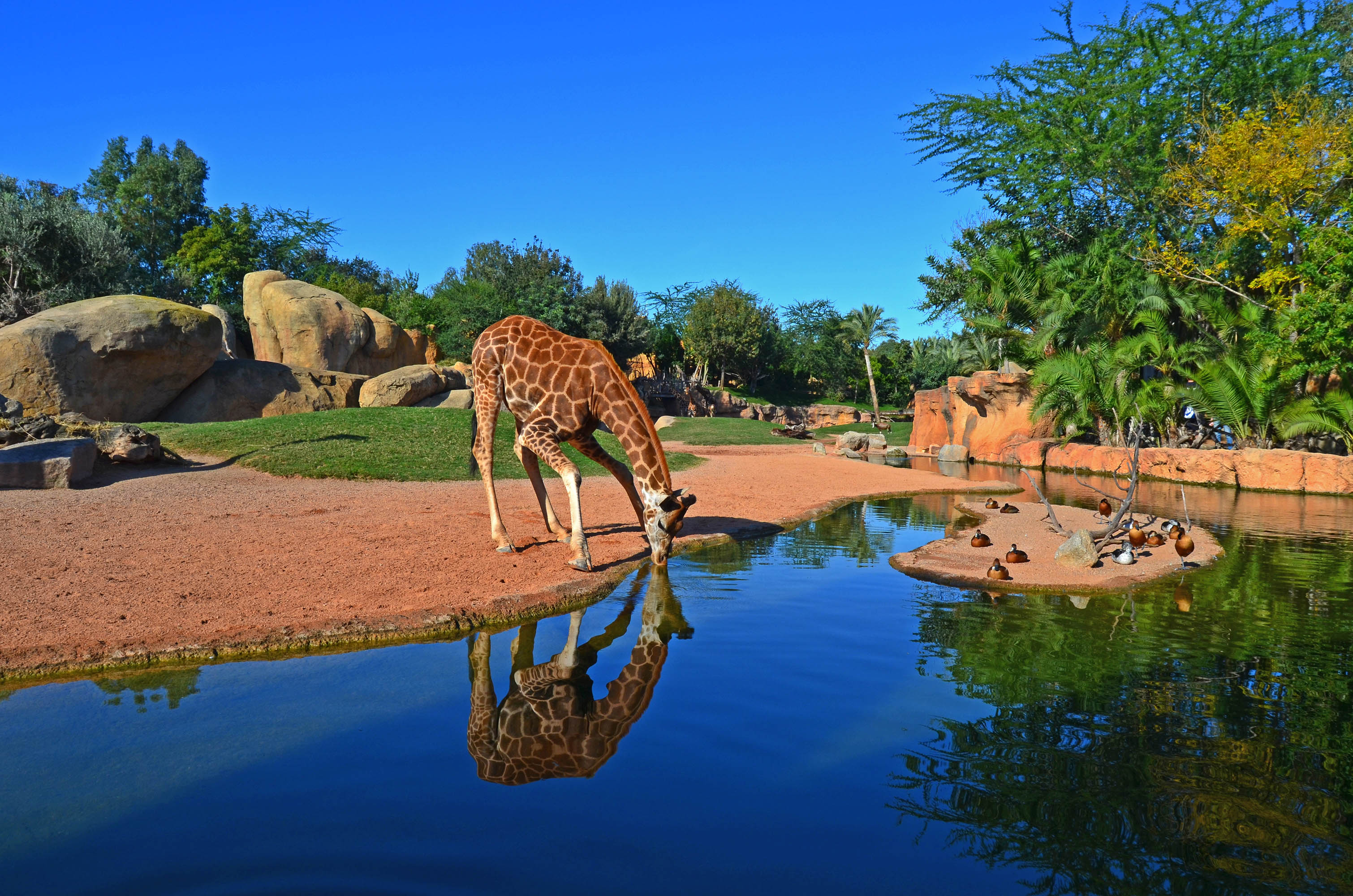 Onda Cero Castellón y Europa FM Castellón organizan el III Concurso de dibujo escolar "El medio ambiente que queremos" Onda Cero Castellón y Europa FM Castellón organizan el III Concurso de dibujo escolar "El medio ambiente que queremos"