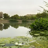Hidraqua y sus empresas participadas destinan un 88% de agua reutilizada para uso agrícola y un 7,5% para el entorno ambiental Hidraqua y sus empresas participadas destinan un 88% de agua reutilizada para uso agrícola y un 7,5% para el entorno ambiental