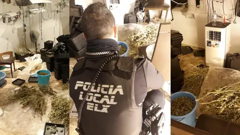 Un agente de la Policía Local en la vivienda en la que se han encontrado las 80 plantas de mariguana. Un agente de la Policía Local en la vivienda en la que se han encontrado las 80 plantas de mariguana.