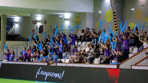 Afici&oacute;n del Motive