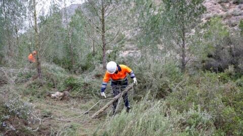 ANTELLA BARRANC MANYANA 