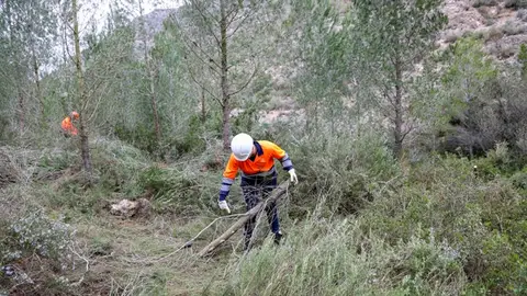 ANTELLA BARRANC MANYANA ANTELLA BARRANC MANYANA