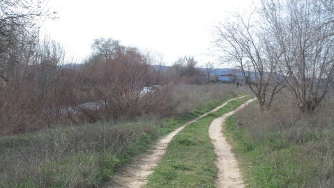 Ecologistas en Acci&oacute;n Alcal&aacute; propone una ruta por ca&ntilde;adas, cordeles y coladas de Torrej&oacute;n de Ardoz y Alcal&aacute; de Henares para poner de relieve el deterioro de nuestras v&iacute;as pecuarias y caminos p&uacute;blicos