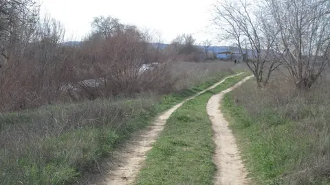 Vía pecuaria de la comarca del Henares Ecologistas en Acción Alcalá propone una ruta por cañadas, cordeles y coladas de Torrejón de Ardoz y Alcalá de Henares para poner de relieve el deterioro de nuestras vías pecuarias y caminos públicos