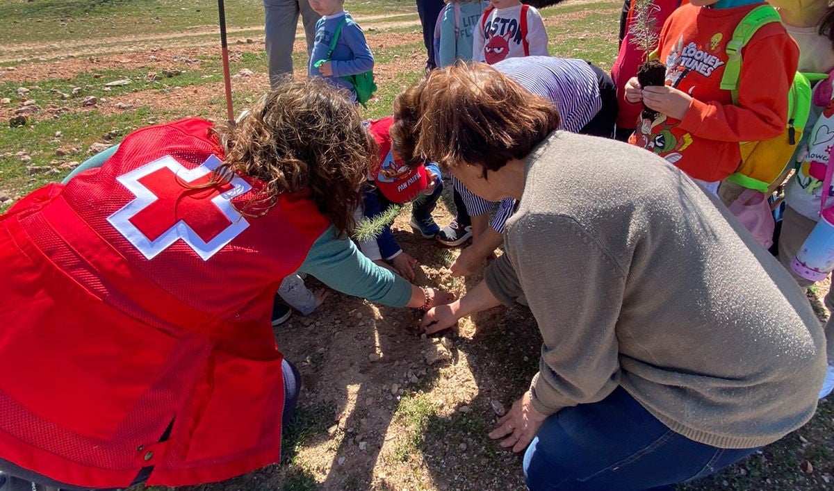 Cruz Roja ha celebrado un encuentro intergeneracional para plantar árboles y plantas aromáticas Cruz Roja ha celebrado un encuentro intergeneracional para plantar árboles y plantas aromáticas