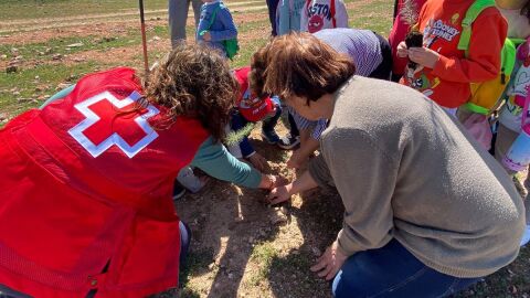 Actividad intergeneracional para plantar &aacute;rboles en Villanueva de la Fuente