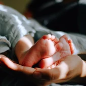 Se confirma un segundo caso en Cádiz de una fecundación in vitro Se confirma un segundo caso en Cádiz de una fecundación in vitro