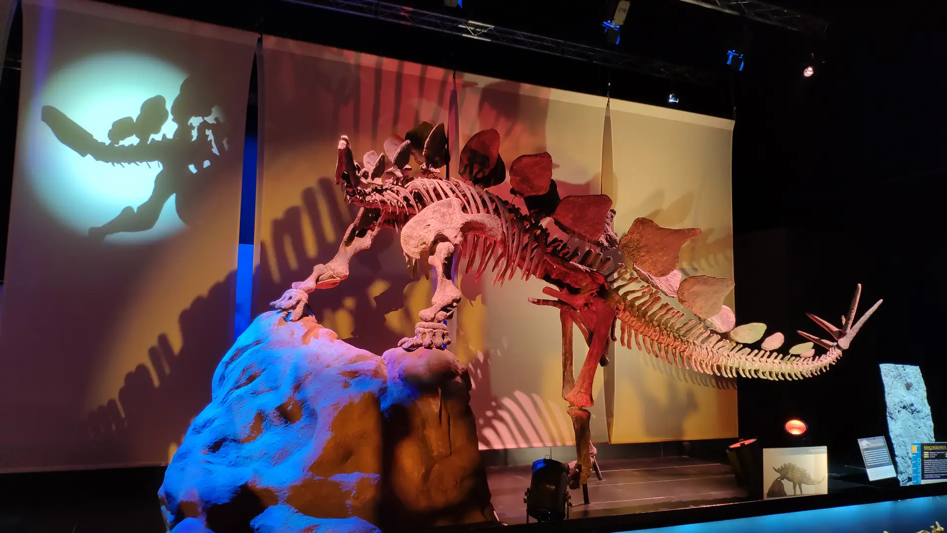 El Museo Paleontológico estrenará nueva iluminación
