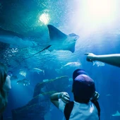 Oceanogràfic Oceanogràfic
