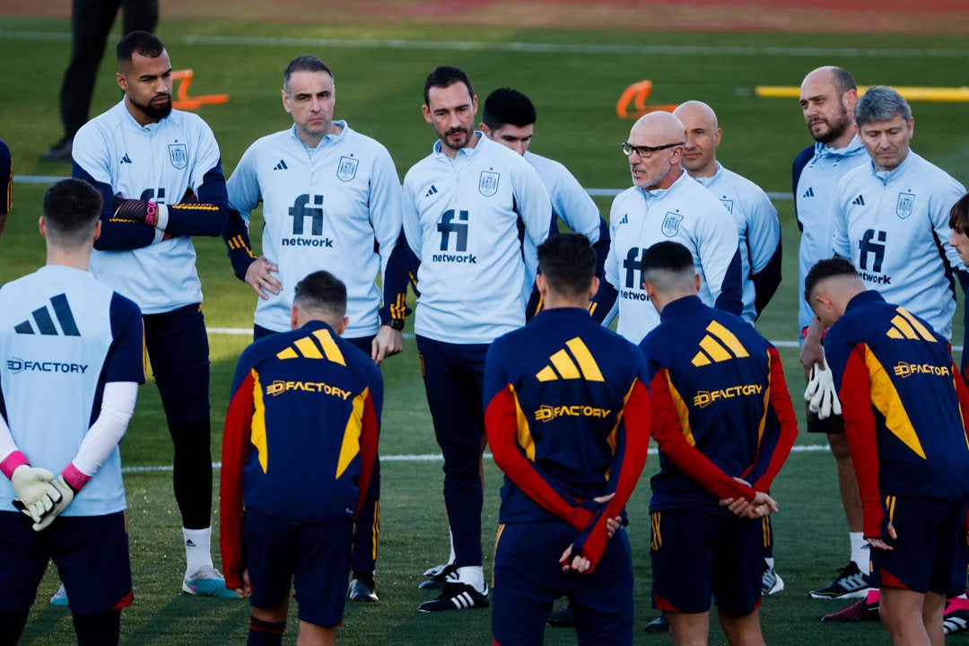 La etapa Luis de la Fuente arranca en Málaga La etapa Luis de la Fuente arranca en Málaga